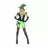 Adult Costume - Wicked Bitch -Deals Movie Characters Store 36282