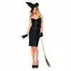 Adult Costume - Vintage Witch