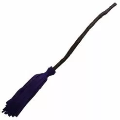 Broom - Witch, Purple