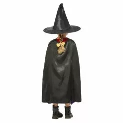 Child Costume - Room On The Broom