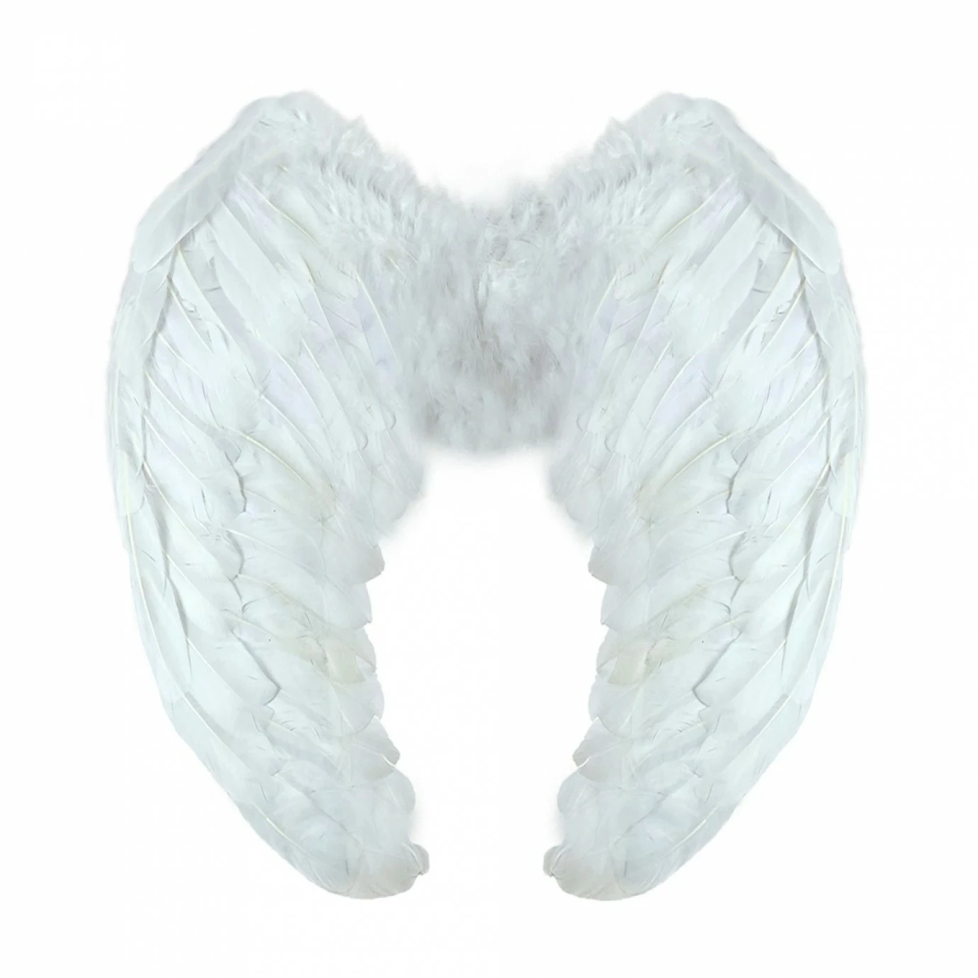 Wings - Feather, White 3 Wings - Feather, White