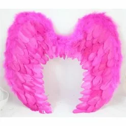 Wings - Hot Pink Feather